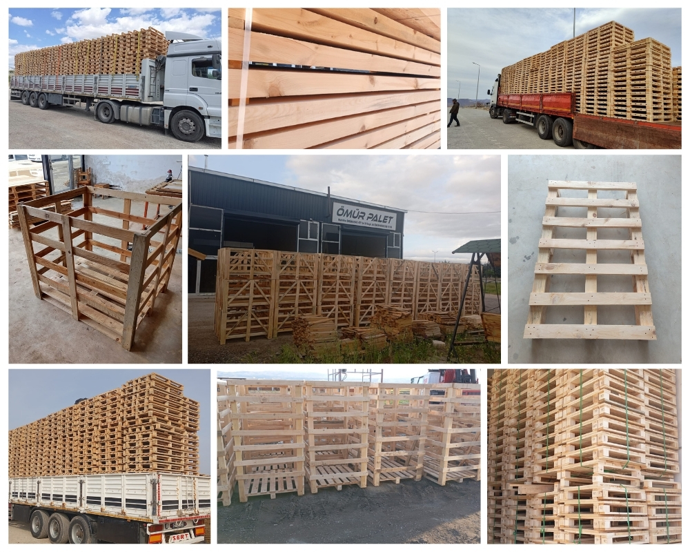Bois-Guillaume Palette Europe, Acheter des palettes en gros